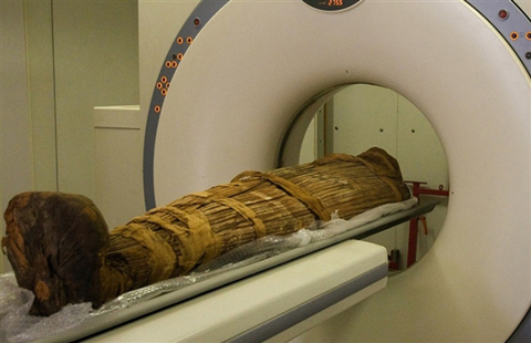 mummies-and-clogged-arteries